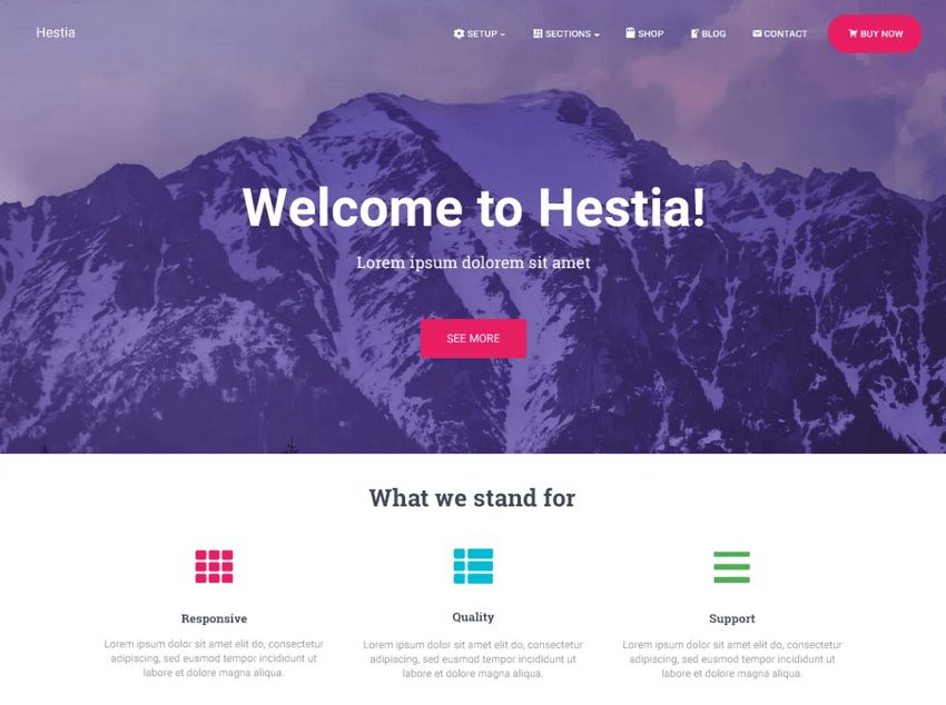 Hestia – ke stažení na WordPress.org.